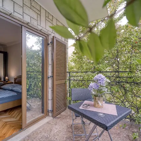 Complex Dolce Maro ポレッチ